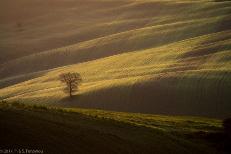 Toscane