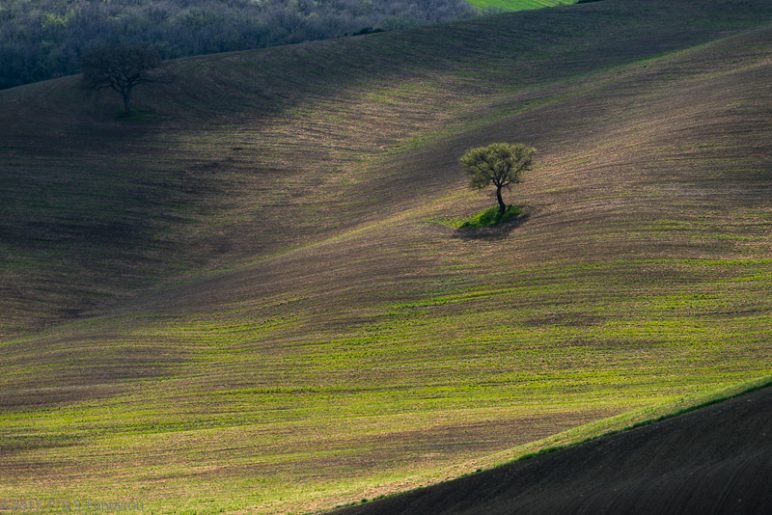 Toscane