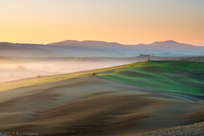 Toscane