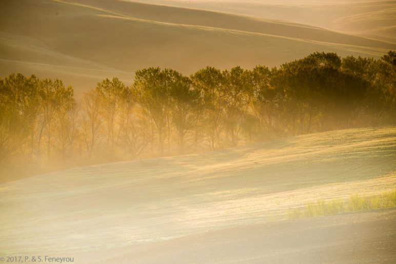 Toscane