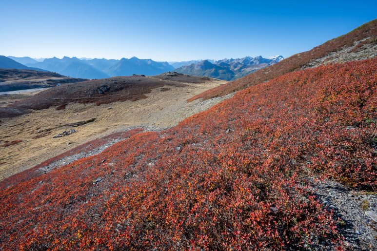 Annecy et Hautes Alpes, 2021