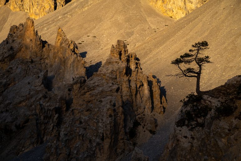 Annecy et Hautes Alpes, 2021