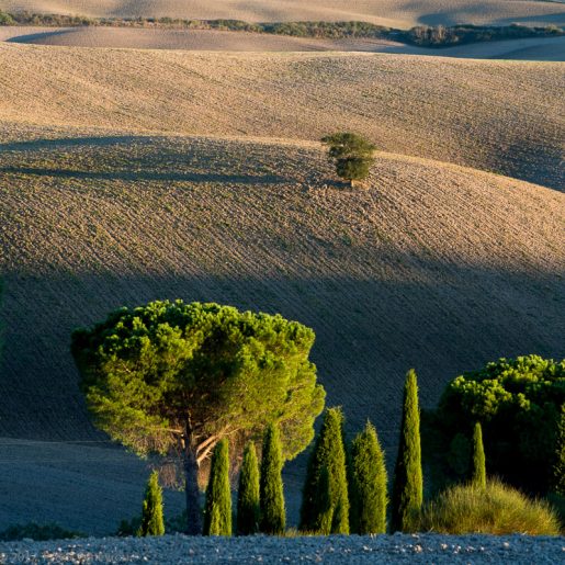 Toscane