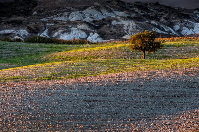 Toscane