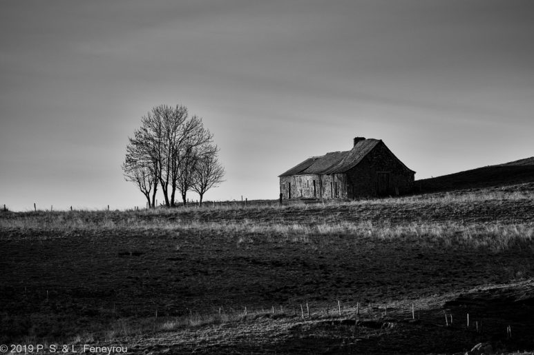 Aubrac