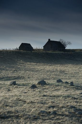 Aubrac