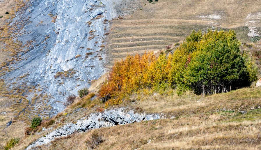 Annecy et Hautes Alpes, 2021