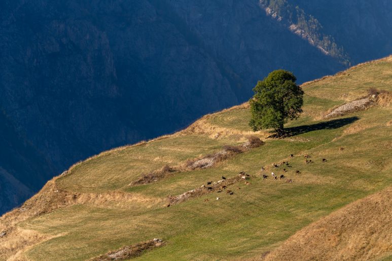 Annecy et Hautes Alpes, 2021