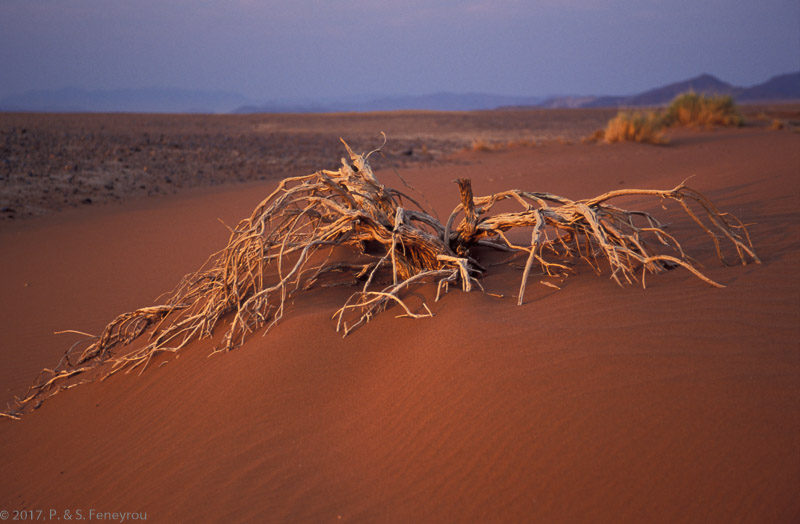 Namibie