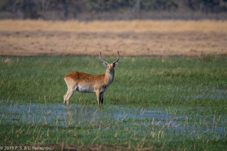 Botswana