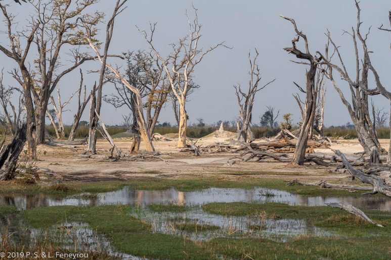 Botswana