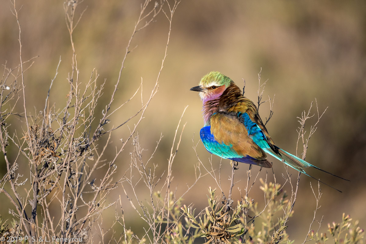 Botswana