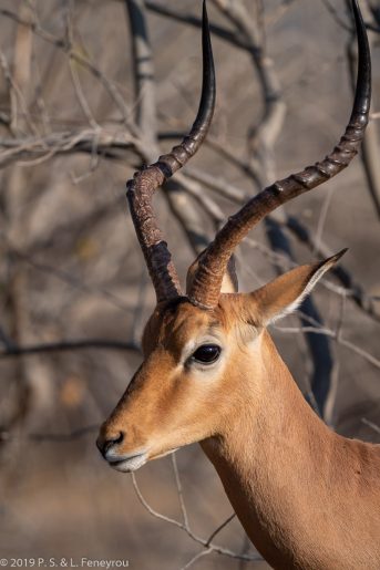 Botswana