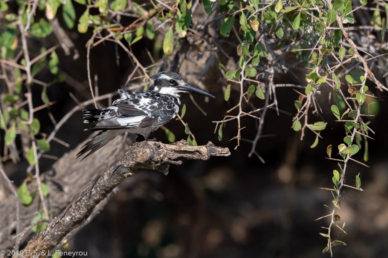 Botswana