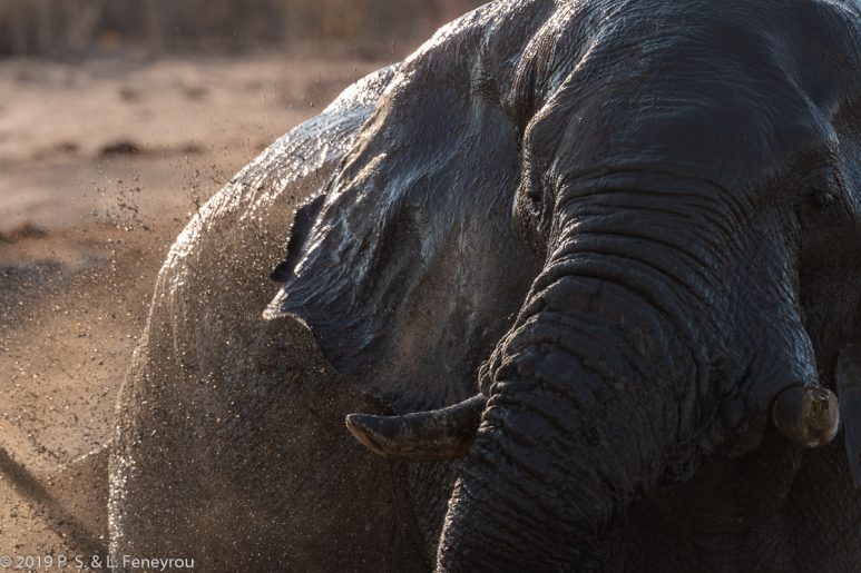 Botswana