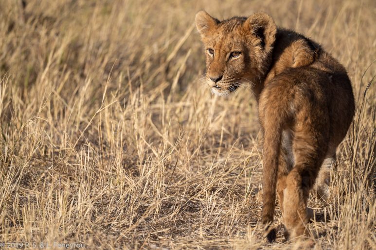 Botswana