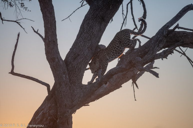 Botswana