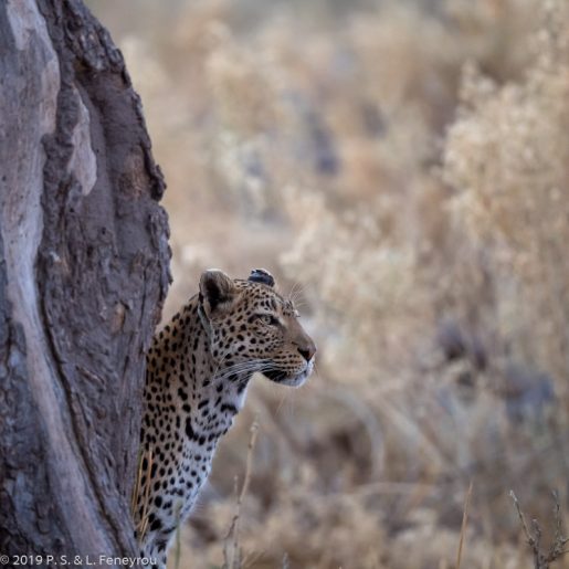 Botswana