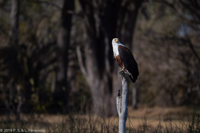 Botswana