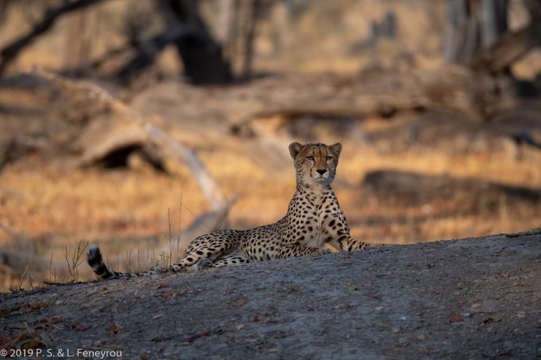 Botswana