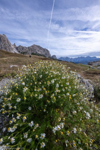 Dolomites, 2023