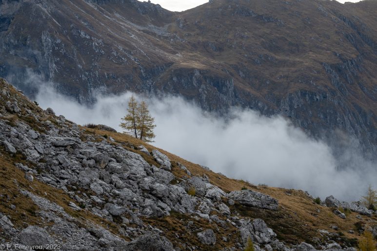 Dolomites, 2023