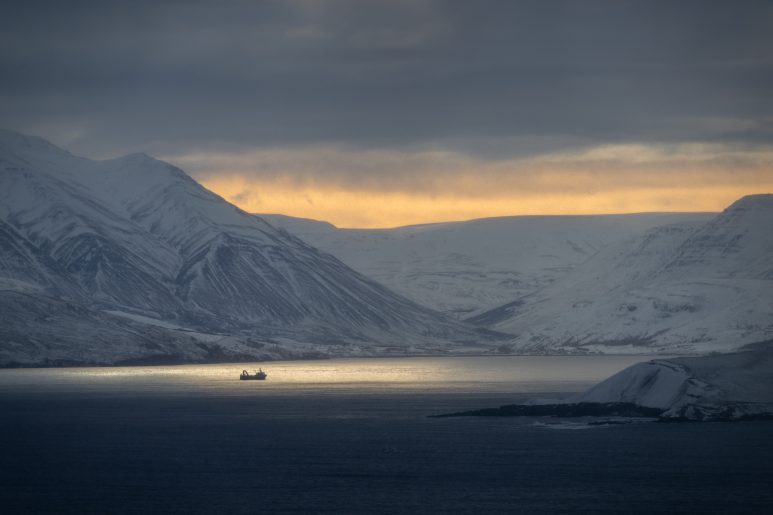 Islande, 2025