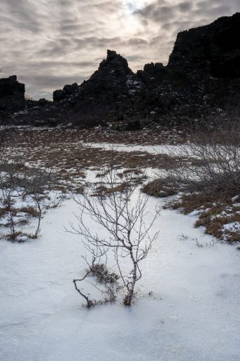 Islande, 2025