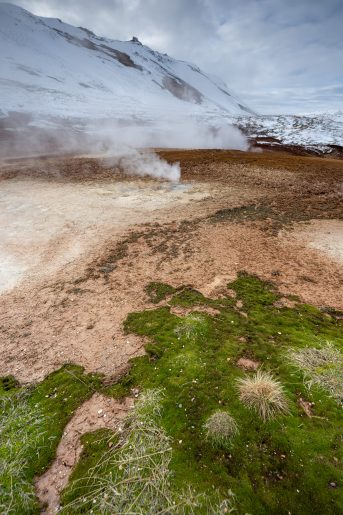 Islande, 2025