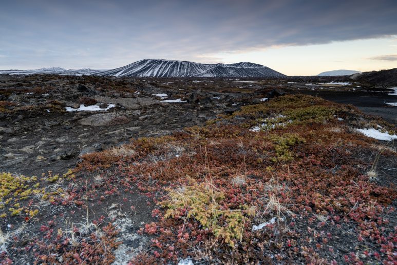 Islande, 2025