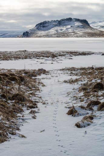 Islande, 2025